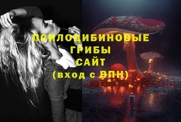 не бодяженный Богданович