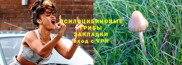 спайс Богородск